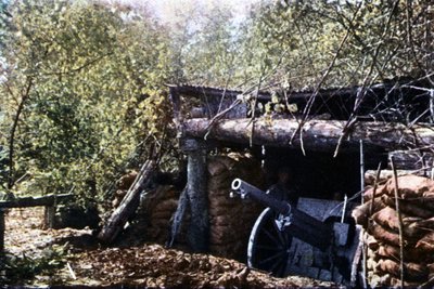 A Camouflaged French 75 mm Gun Under the Trees During the Battle of Verdun by Jules Gervais Courtellemont